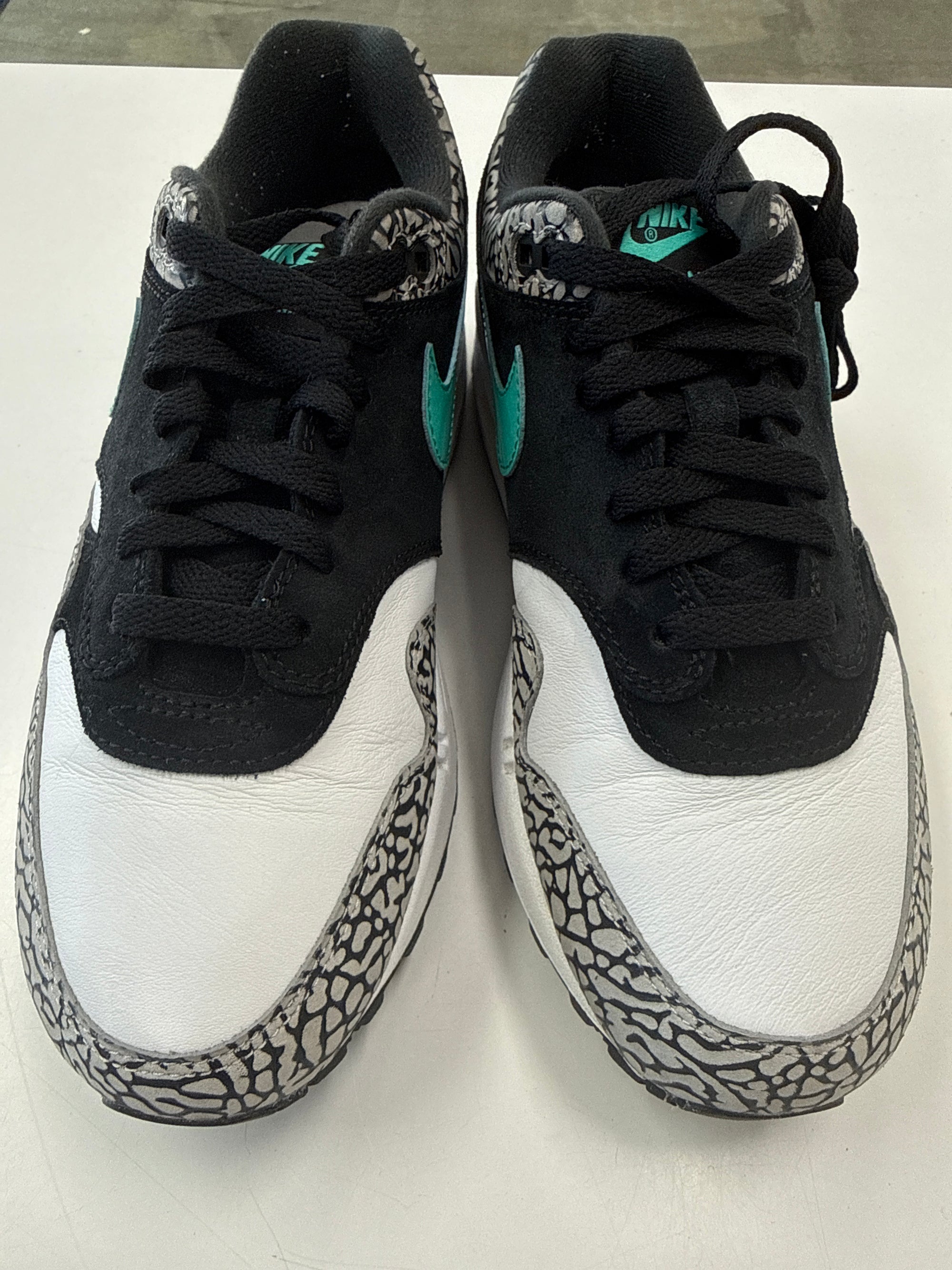 AIR MAX 1 PREMIUM ATMOS - SIZE 8.5 (WORN) - SUPER CLEAN