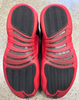AIR JORDAN 12 FLU GAME 2016 - SIZE 9.5 (WORN)