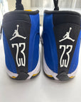 AIR JORDAN 14 LANEY 2023 - SIZE 11 (WORN)