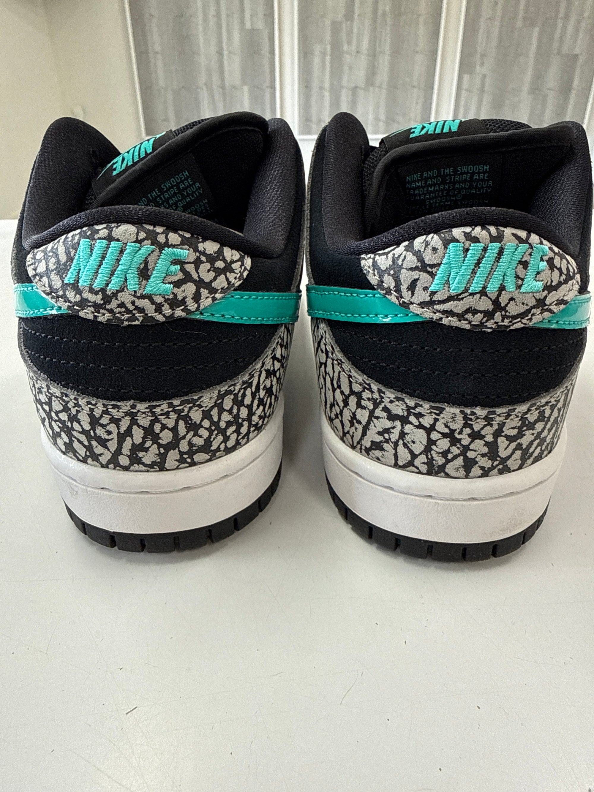 SB DUNK LOW ATMOS - SIZE 8 (WORN) - SUPER CLEAN
