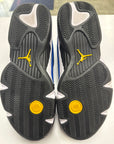 AIR JORDAN 14 LANEY 2023 - SIZE 11 (WORN)