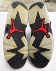 AIR JORDAN 6 BLACK INFRARED 2019 - SIZE 10.5 (WORN)
