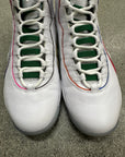 AIR JORDAN 10 WINGS - SIZE 11 (WORN)