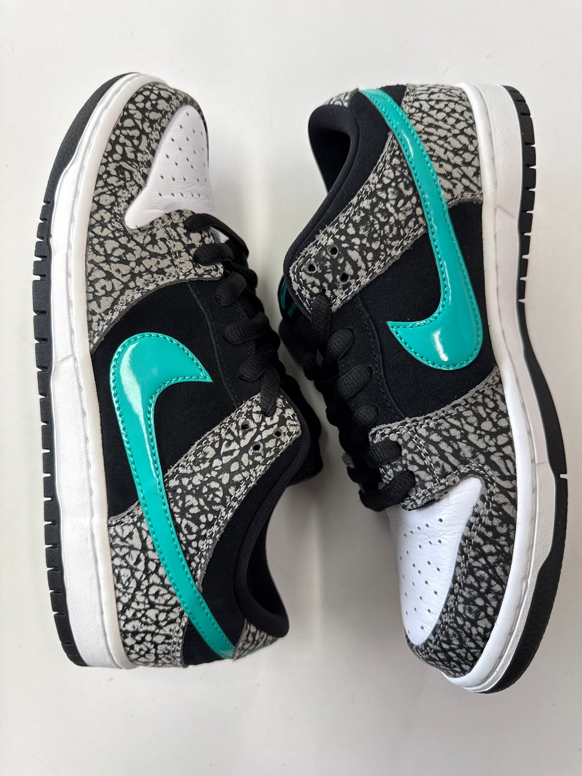 SB DUNK LOW ATMOS - SIZE 8 (WORN) - SUPER CLEAN