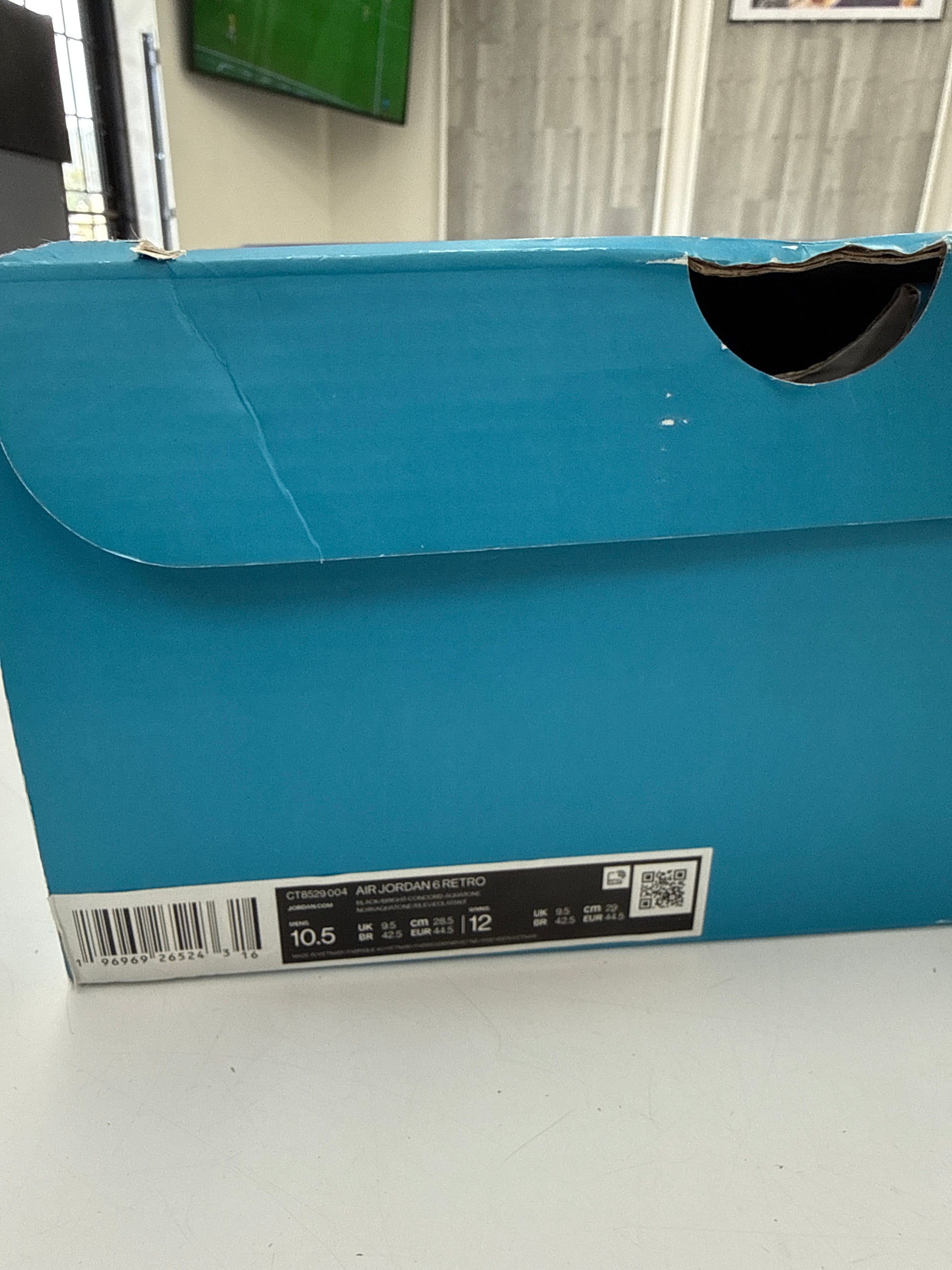 AIR JORDAN 6 AQUA - SIZE 10.5 (WORN)