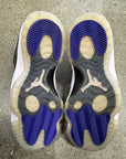 AIR JORDAN 11 CONCORD - SIZE 9 (WORN)