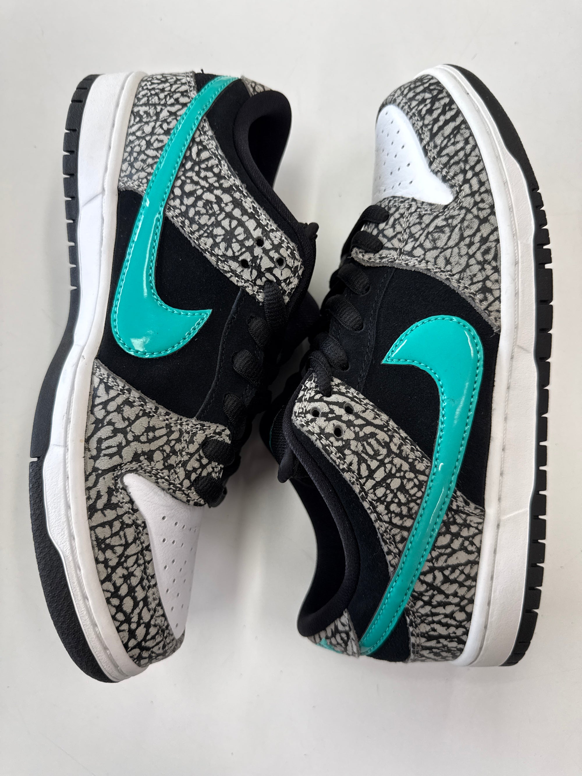 SB DUNK LOW ATMOS - SIZE 8 (WORN) - SUPER CLEAN