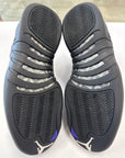 AIR JORDAN 12 DARK CONCORD - SIZE 10 (WORN)