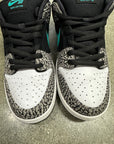 SB DUNK LOW PRO ATMOS ELEPHANT - SIZE 10 (WORN)