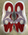 AIR JORDAN 11 CHERRY 2022 - SIZE 9.5 (WORN)