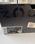 AIR JORDAN 3 FEAR 2023 - SIZE 11 (WORN)