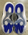 AIR JORDAN 11 SPACEJAM 2016 - SIZE 12 (WORN) - SUPER CLEAN - SLIGHTLY STICKY BOTTOMS