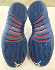 AIR JORDAN 12 FRENCH BLUE 2025 - SIZE 9.5 (WORN)