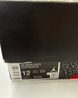 AIR JORDAN 3 BLACK CEMENT 2024 - SIZE 12 (WORN)
