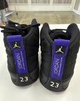 AIR JORDAN 12 CONCORD - SIZE 11.5 (WORN)