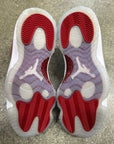 AIR JORDAN 11 CHERRY - SIZE 8.5 (WORN)