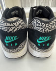 AIR MAX 1 ATMOS ELEPHANT 2017 - SIZE 11 (WORN)