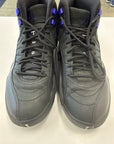 AIR JORDAN 12 DARK CONCORD - SIZE 10 (WORN)