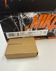 AIR JORDAN 1 HIGH SHATTERED BACKBOARD 2025 - SIZE 11.5 (WORN)