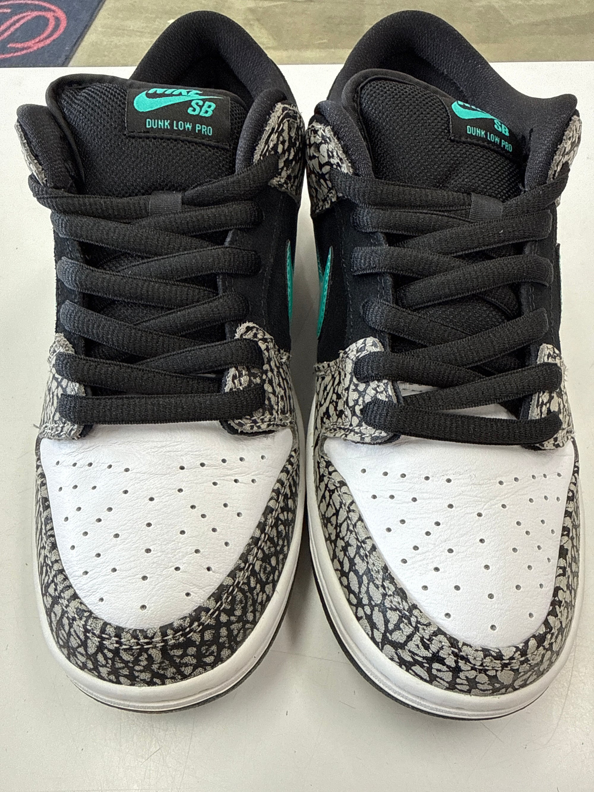 SB DUNK LOW ATMOS - SIZE 8 (WORN) - SUPER CLEAN