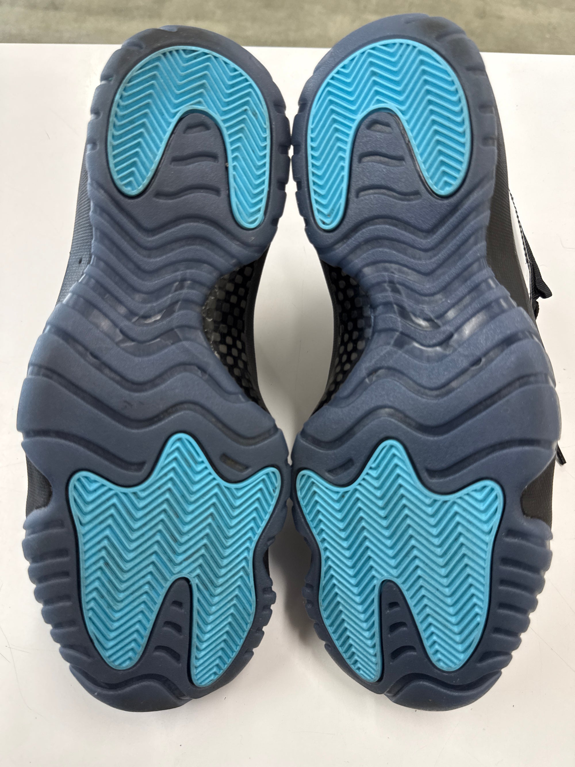 AIR JORDAN 11 GAMMA 2025 - SIZE 11 (WORN)