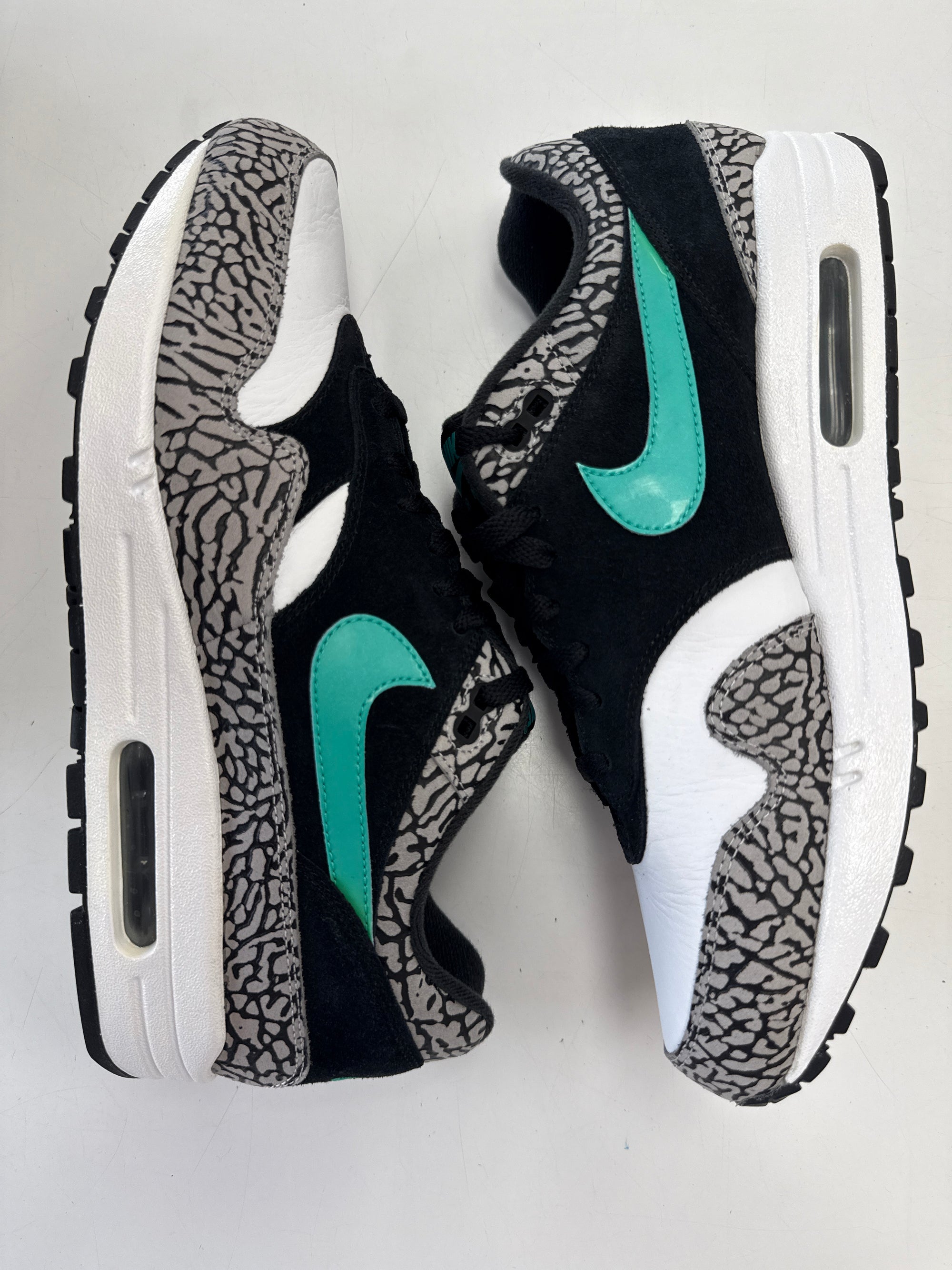 AIR MAX 1 ATMOS ELEPHANT 2017 - SIZE 11 (WORN)
