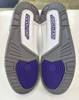 AIR JORDAN 3 DARK IRIS - SIZE 10 (WORN) - SUPER CLEAN